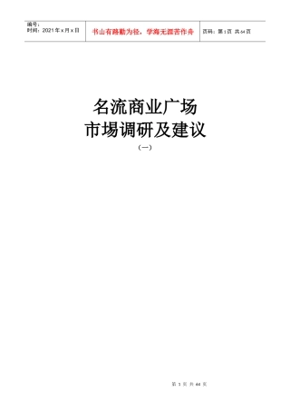 某名流商业广场市场调研与建议