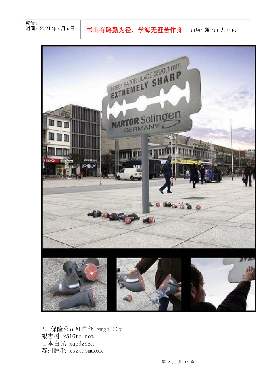 某年户外广告案例_第2页