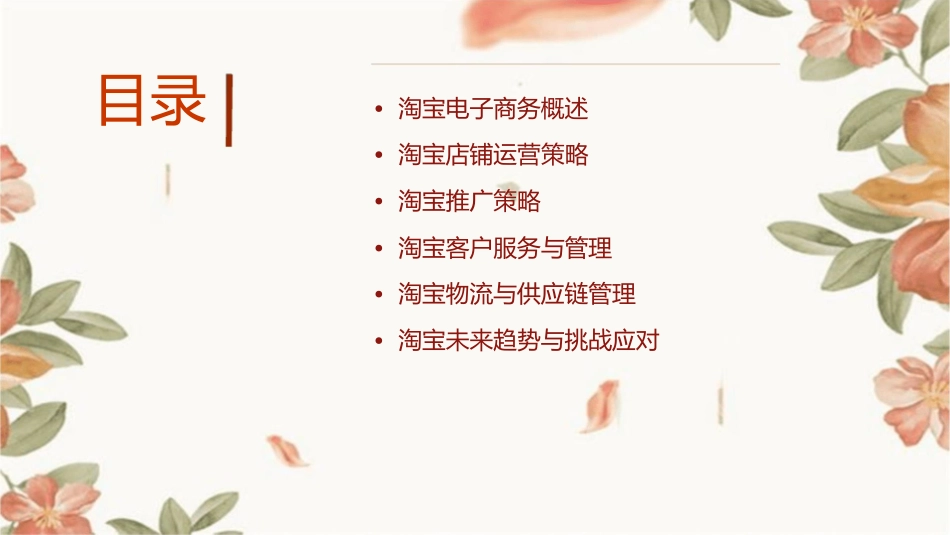 淘宝电子商务运营解决方案课件_第2页