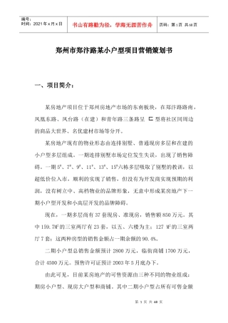 郑州市某郑汴路小户型项目营销策划书