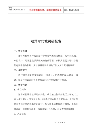 远洋时代城调研报告样本