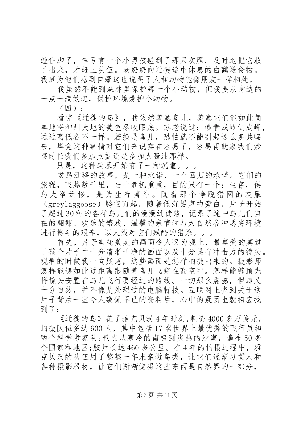 迁徙的鸟观后感_第3页
