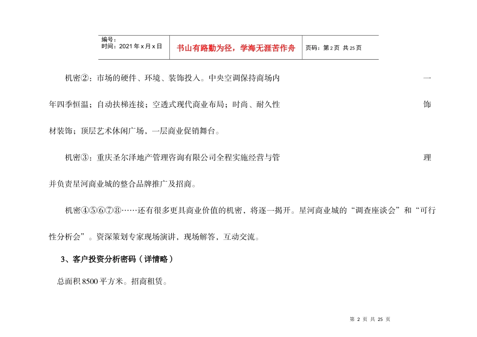 星河商业城-项目营销企划方案(下).doc_第2页
