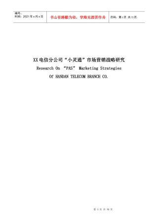 某电信公司小灵通市场营销战略研究报告