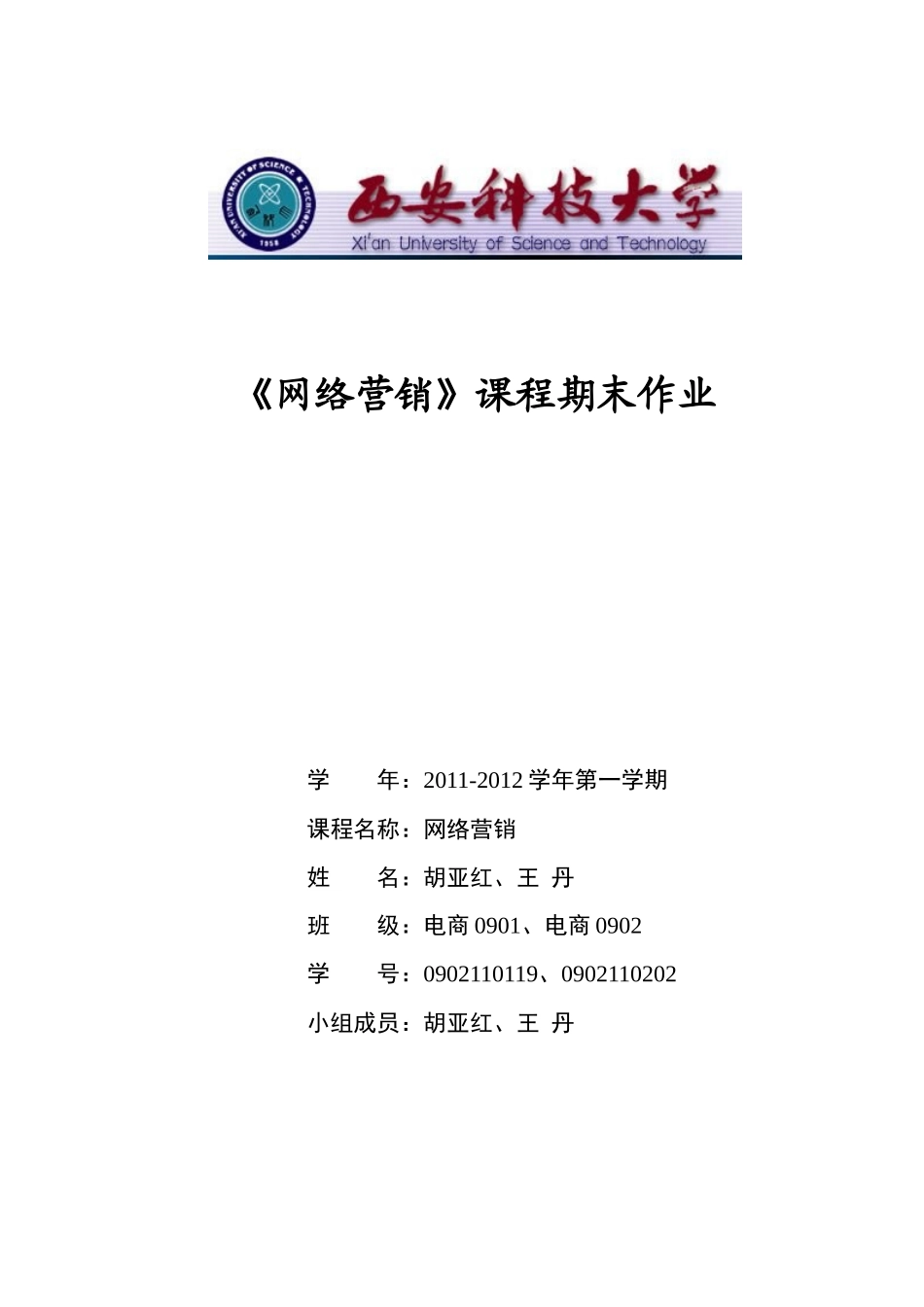 网络营销期末作业_第1页