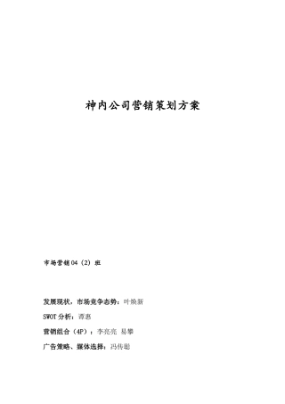 神内公司营销策划方案（2）