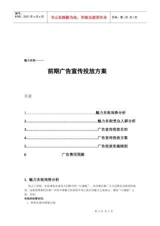 魅力东街前期广告宣传投放方案
