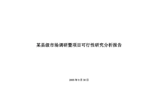某县级市场调研暨项目可行性研究分析报告