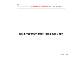 重庆某大型项目市场调研报告
