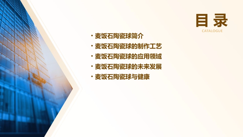 麦饭石陶瓷球课件_第2页