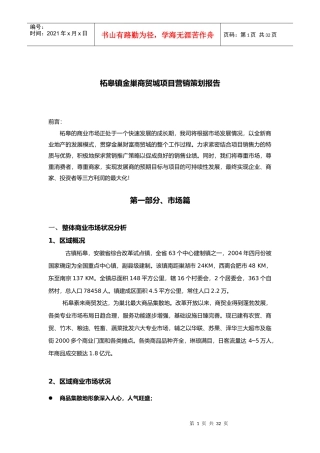 柘皋镇金巢商贸城项目营销策划报告