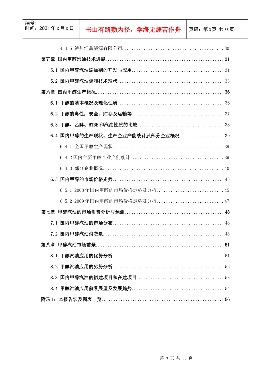 甲醇汽油市场调研报告_第3页