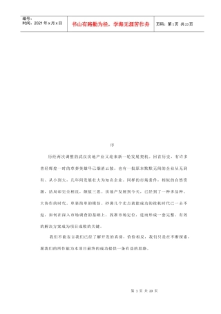 武汉某地产全程营销策划