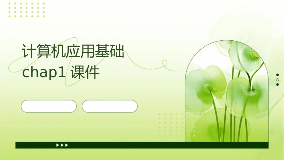 计算机应用基础chap1课件_第1页