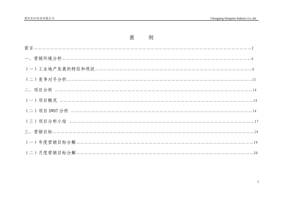 某实业公司营销推广报告_第2页