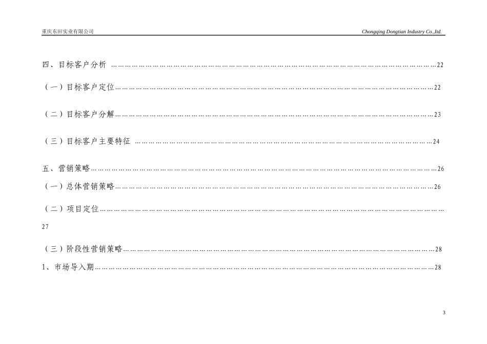某实业公司营销推广报告_第3页