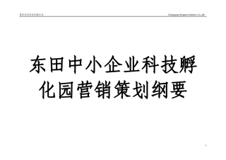 某实业公司营销推广报告
