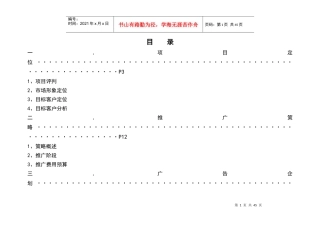 风火海上海XX广场营销执行方案