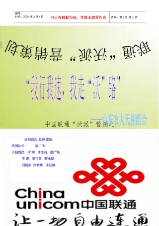 联通沃派营销策划书