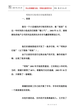 某步行街项目市场调研报告