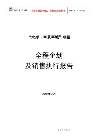 某项目全程企划与销售执行报告