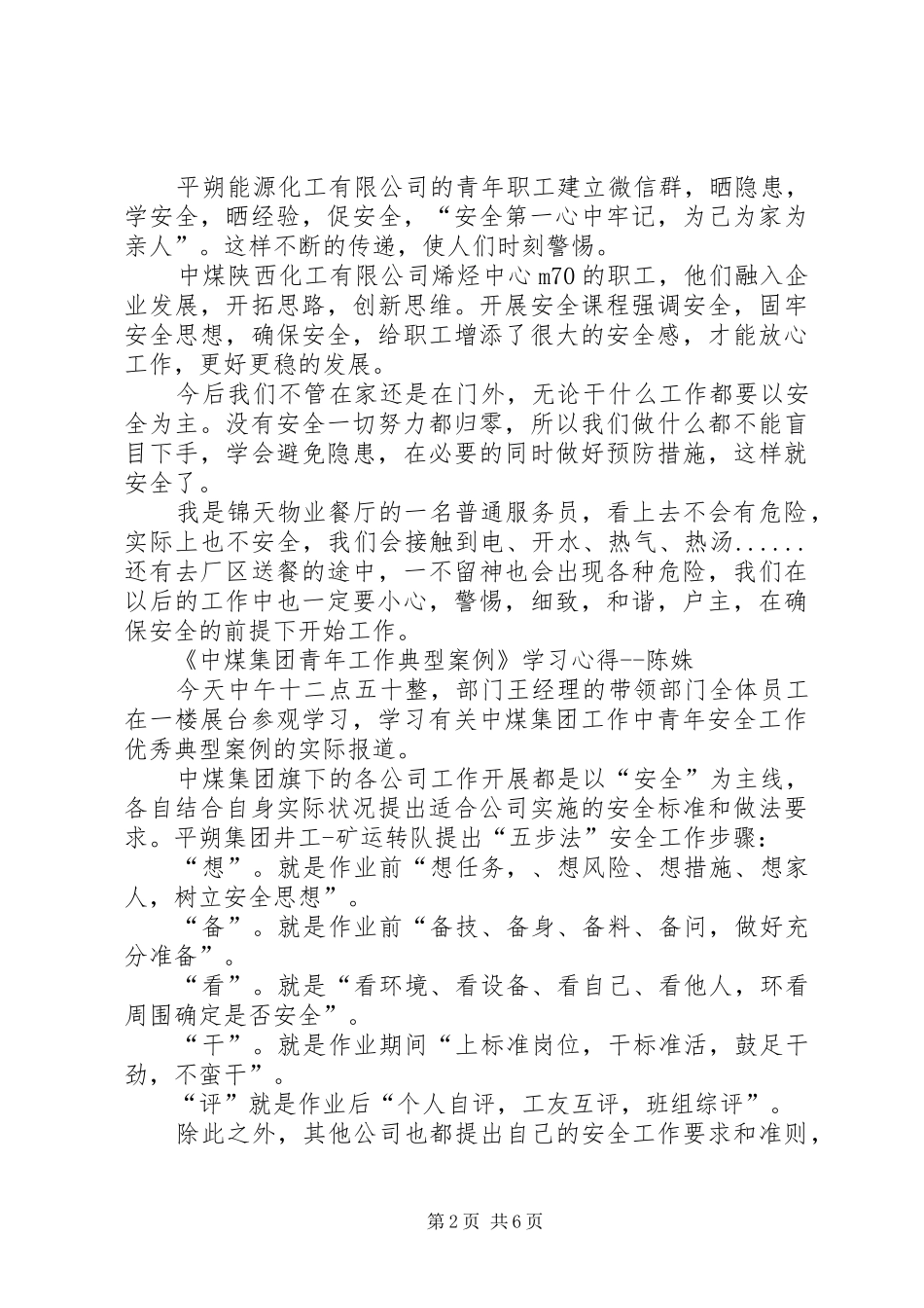 《中煤集团青年工作典型案例》优秀观后感_第2页