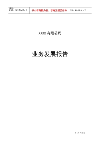 文网文业务发展报告(DOC32页)