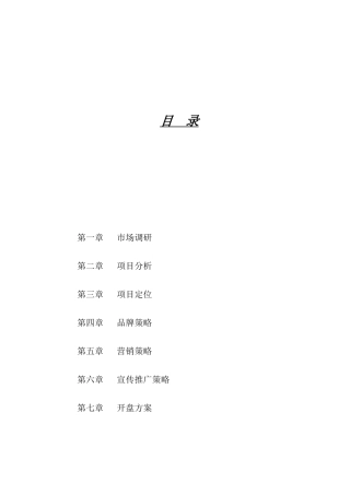 海印长城项目营销推广策划报告