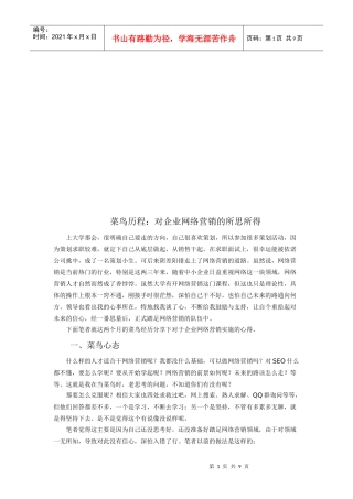 菜鸟历程：对企业网络营销的所思所得