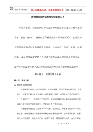 某项目营销战略策划报告