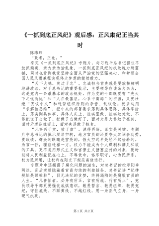 《一抓到底正风纪》观后感：正风肃纪正当其时