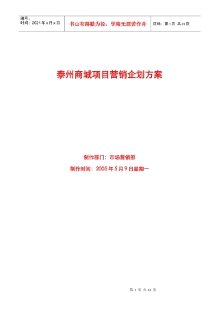 某商城项目规划与营销策略