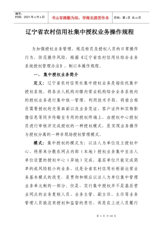 集中授权业务操作规程