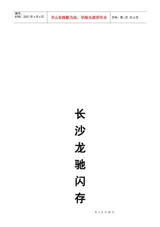 长沙龙驰闪存市场相关资料
