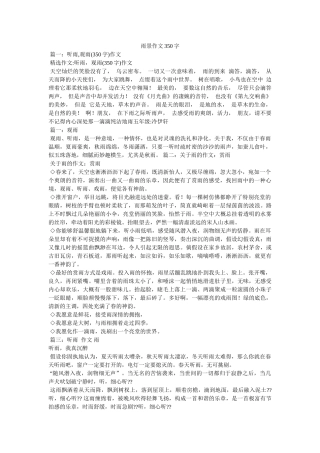 雨景作ۥ文350字精选 