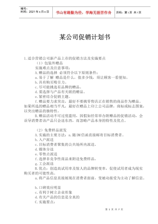 某公司促销计划书