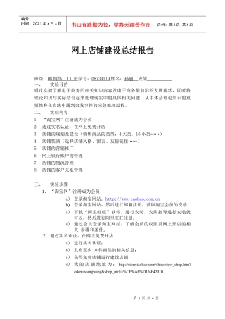 网上店铺建设总结报告