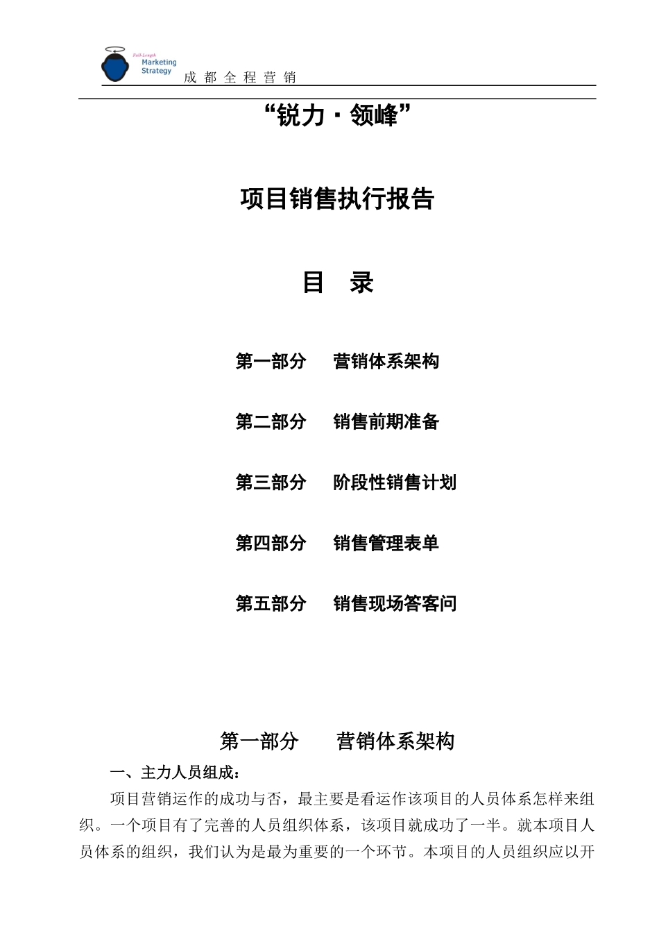 （3）项目销售执行报告_第1页