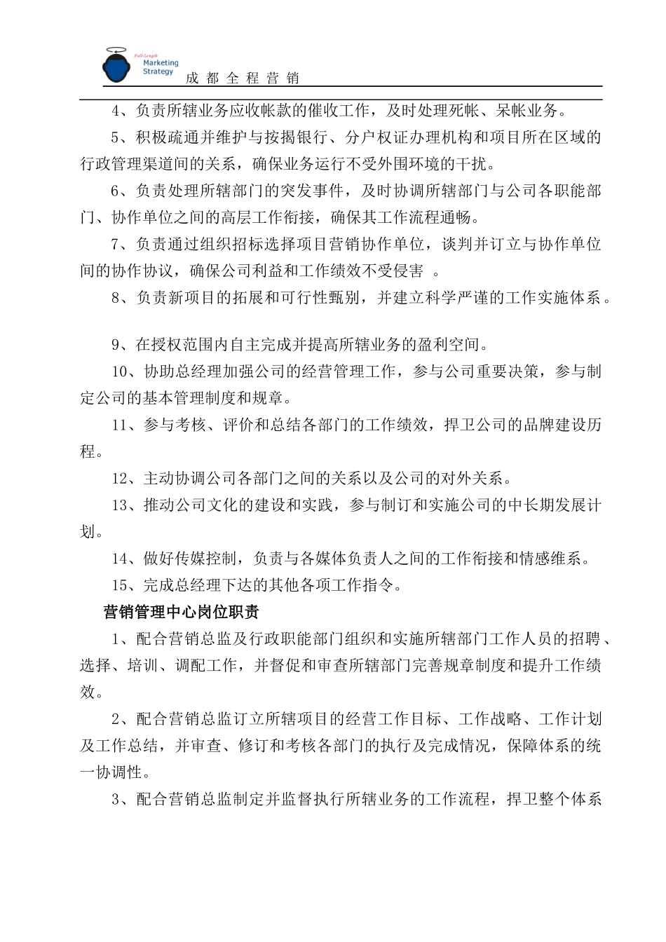 （3）项目销售执行报告_第3页