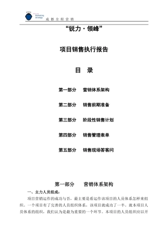 （3）项目销售执行报告