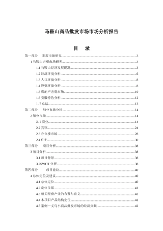马鞍山商品批发市场市场分析报告（DOC 46页）