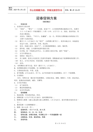 迎春促销方案