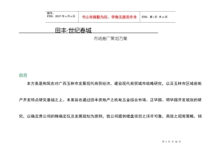 田丰新城市场推广策划方策