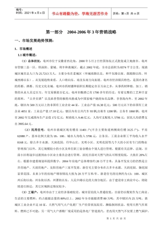 某燃气公司三年营销战略规划