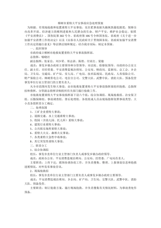 樟树市重特大安全事故应急处理预案 