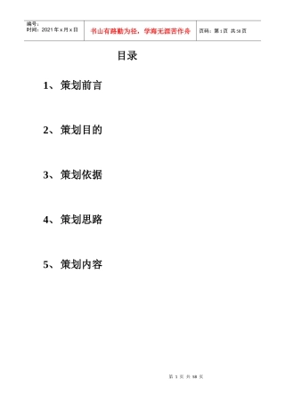 泊·天下营销策划报告