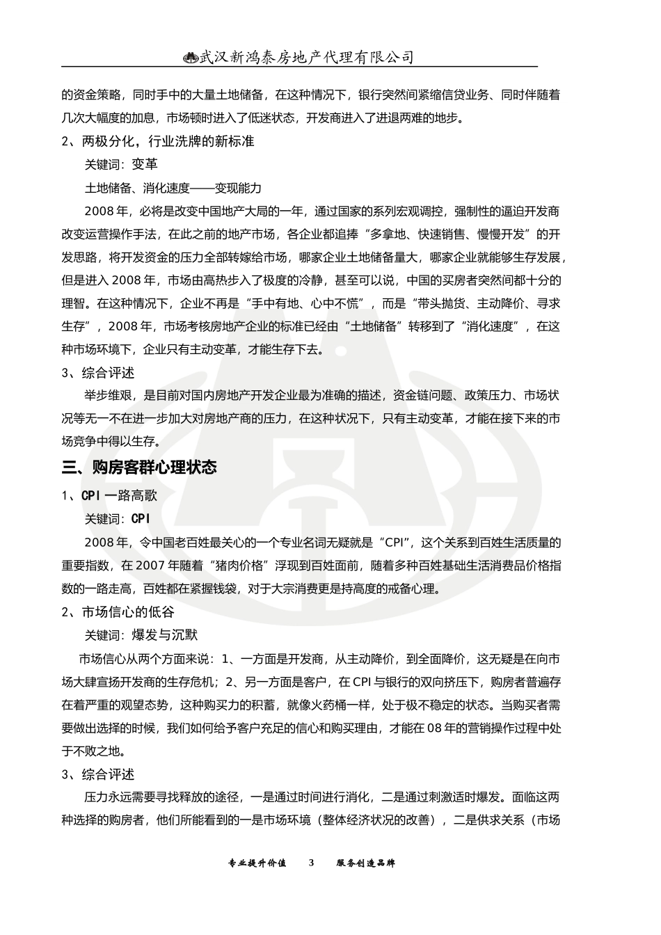 盛世长江营销策划案_第3页