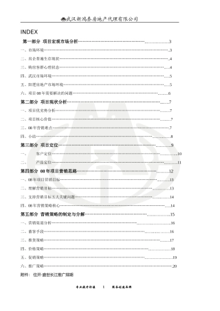 盛世长江营销策划案