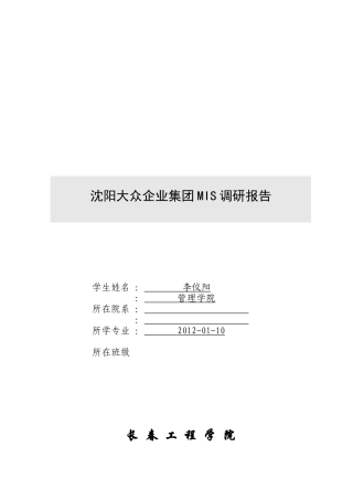 沈阳某集团MIS调研报告