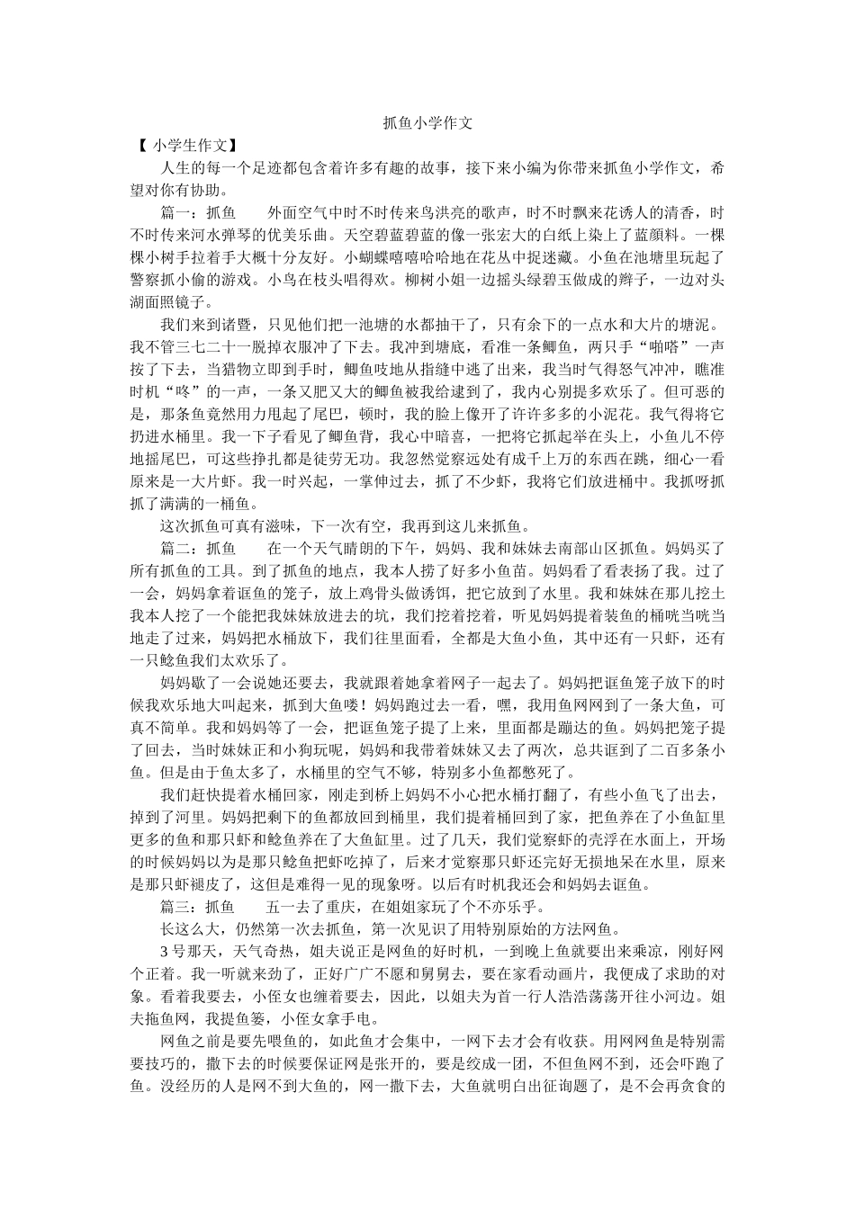 抓鱼小ۥ学作文精选 _第1页